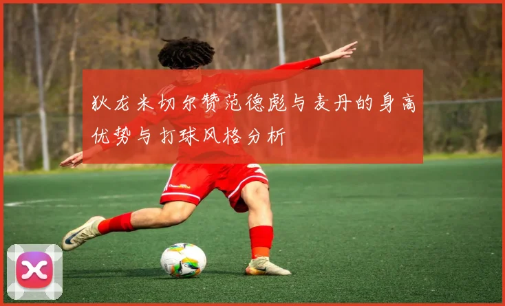 狄龙米切尔赞范德彪与麦丹的身高优势与打球风格分析