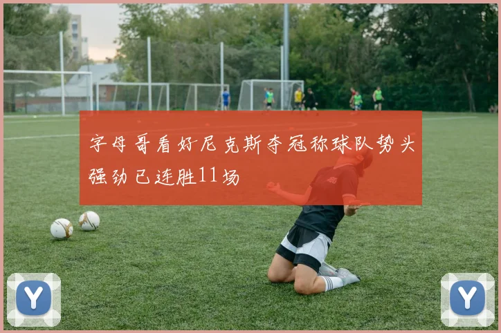 字母哥看好尼克斯夺冠称球队势头强劲已连胜11场
